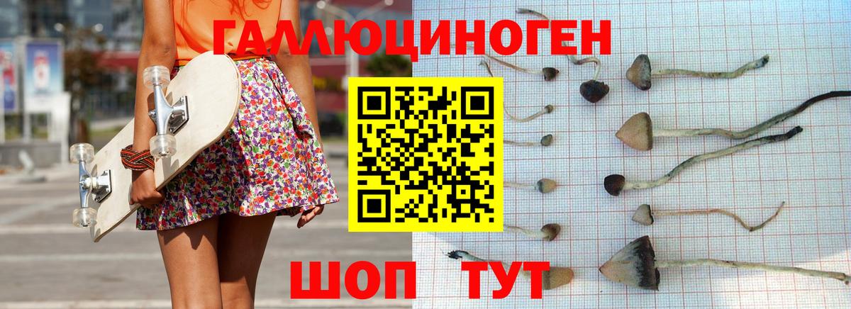 Омск  Псилоцибиновые грибы MAGIC MUSHROOMS  Галлюциногенные грибы GOLDEN TEACHER  цены   Вход с VPN 