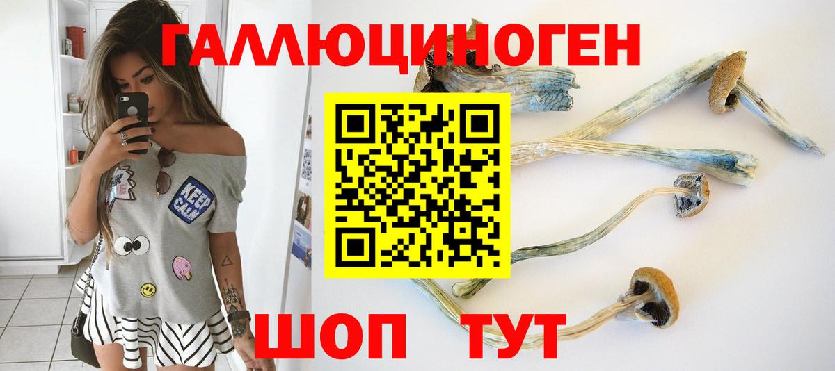 Галлюциногенные грибы MAGIC MUSHROOMS Омск
